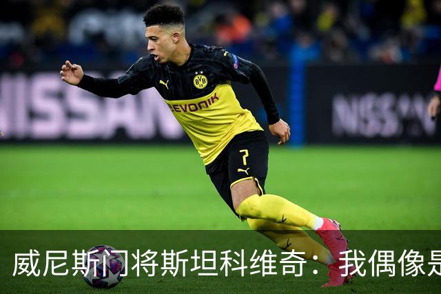 威尼斯门将斯坦科维奇：我偶像是塞萨尔，平常以汉达诺维奇为榜样