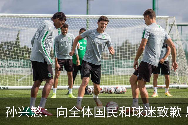 孙兴慜：向全体国民和球迷致歉 恳请少些过度批评伤害